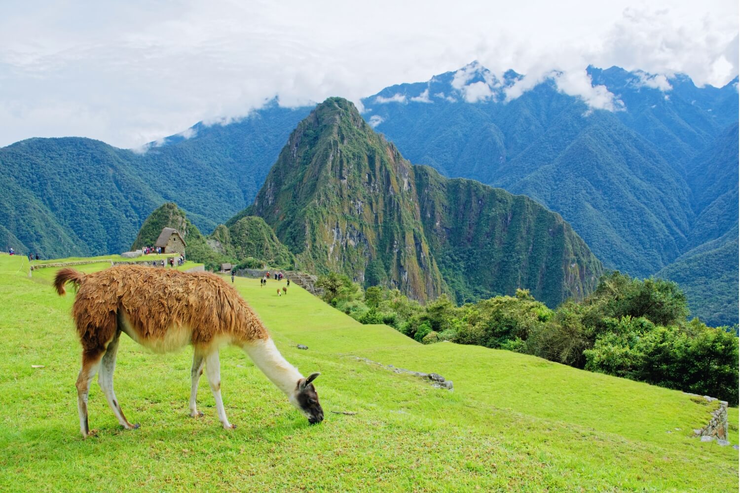 Besuch von Machu Picchu im Sommer (Dezember – Februar