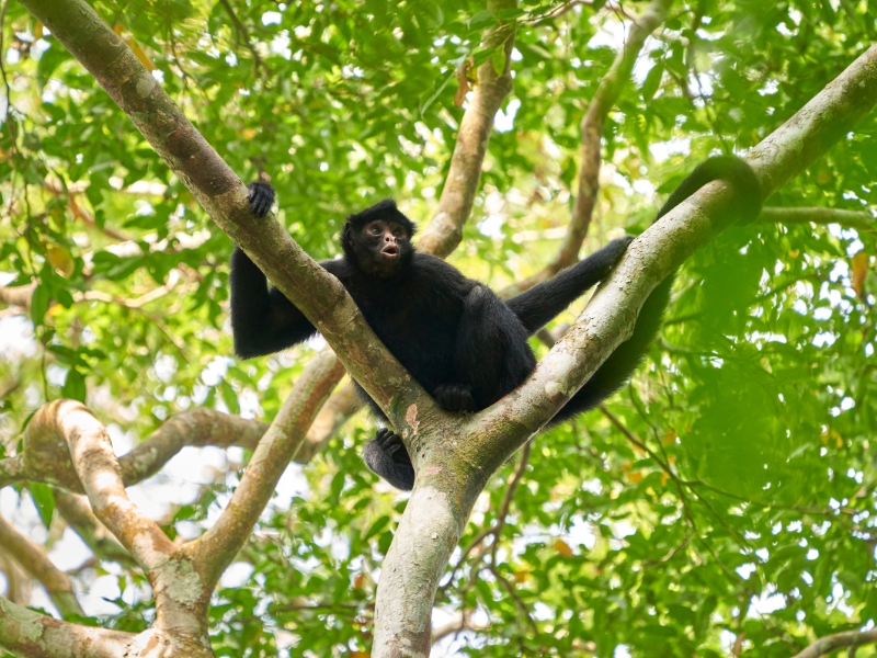 Exploring Lake Sandoval in the Tambopata National Reserve