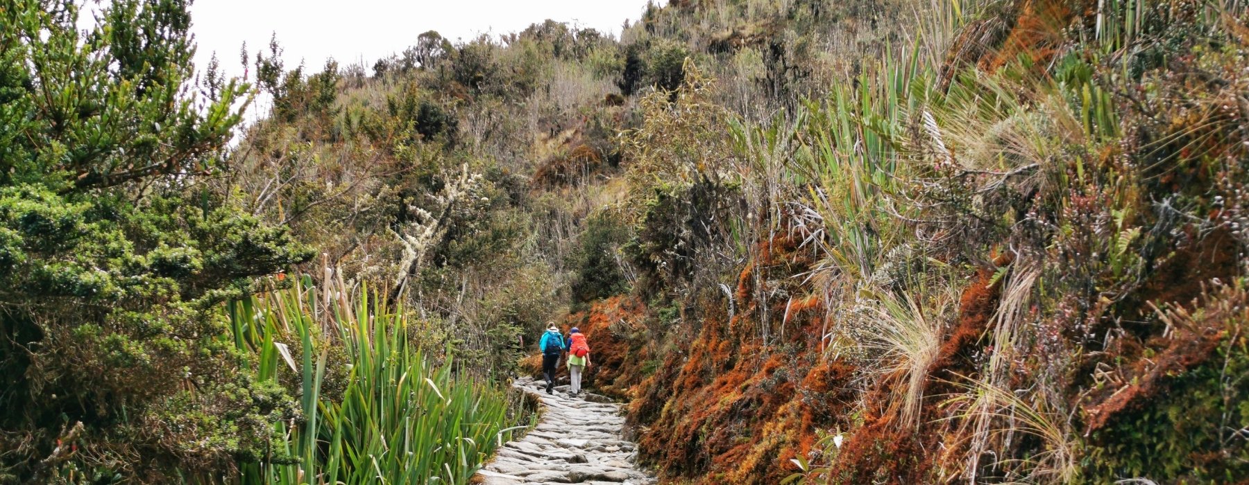 INCA TRAIL ALTITUDE: ELEVATIONS ON THE INCA TRAIL TO MACHU PICCHU