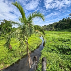 recommendations of Manu National Park Tour