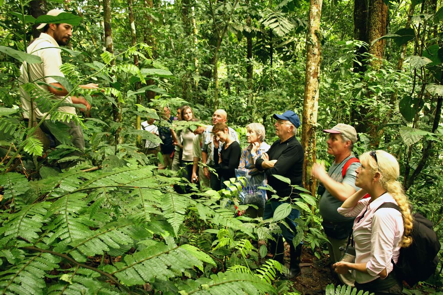 Visiting Brazil's  rainforest