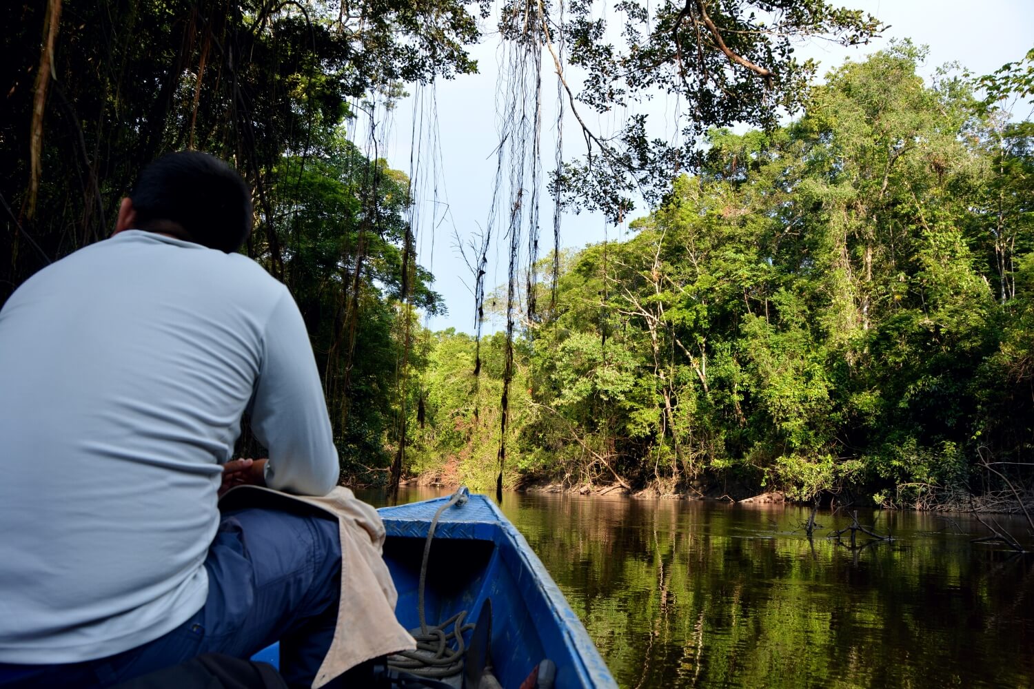 Visiting the Amazon Rainforest  in Peru