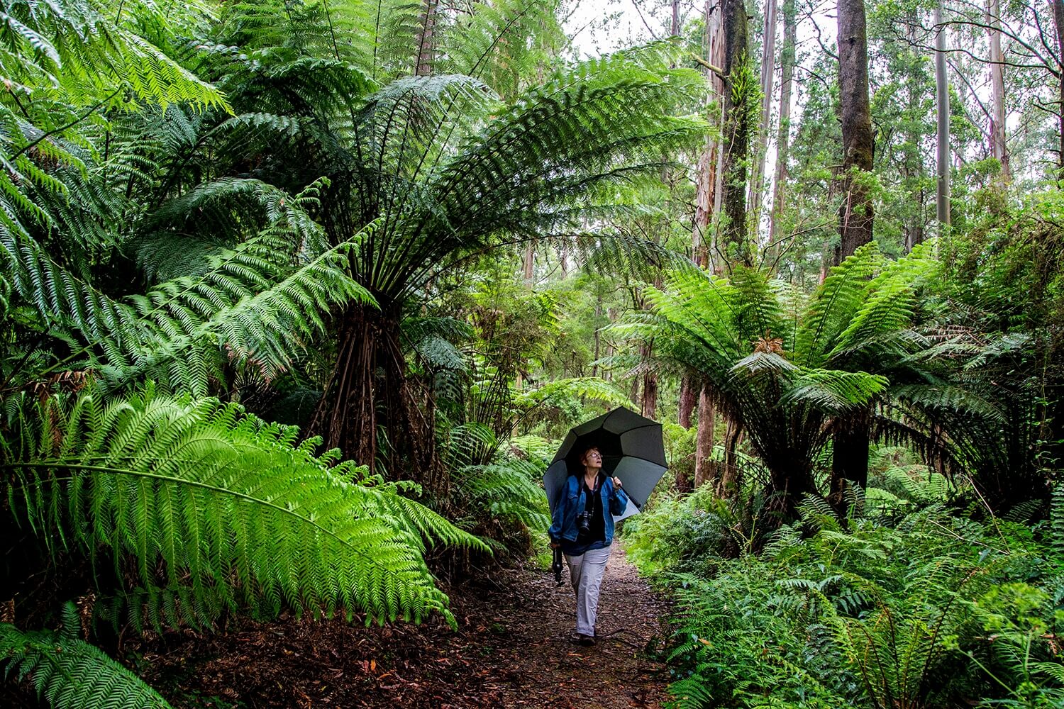 The travel kit list: the best gear for rainforest hiking