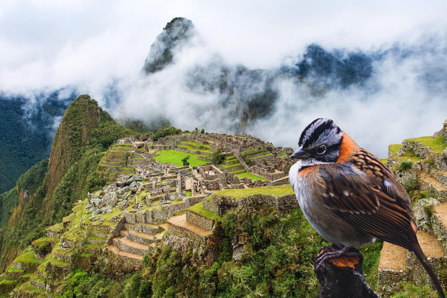 WHAT WAS THE REAL NAME OF MACHU PICCHU?