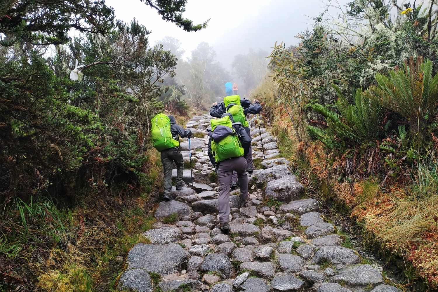 WHEN SHOULD I BOOK MY 2-DAY VS. 4-DAY INCA TRAIL PERMITS AND TOURS?