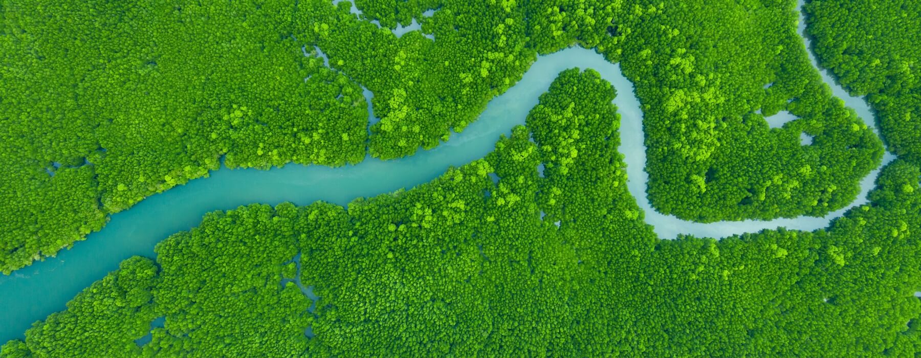 WHY YOU SHOULD VISIT THE PERUVIAN AMAZON RAINFOREST
