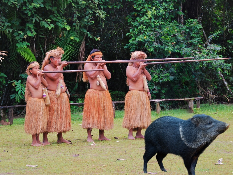 Yagua Indigenous Community